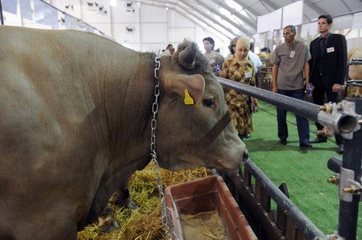 Maroc. Salon de l’Agriculture : une édition dédiée à la recherche et au développement