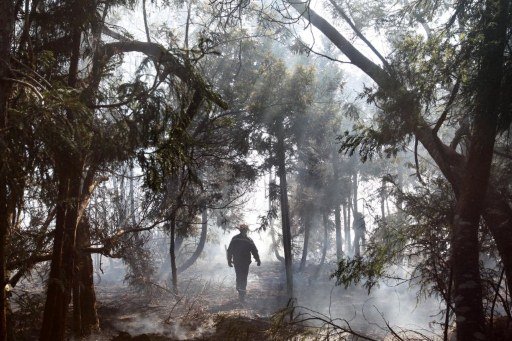 France – L’incendie ne progresse plus à la Réunion