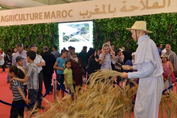 Meknès : Clôture du salon en apothéose
