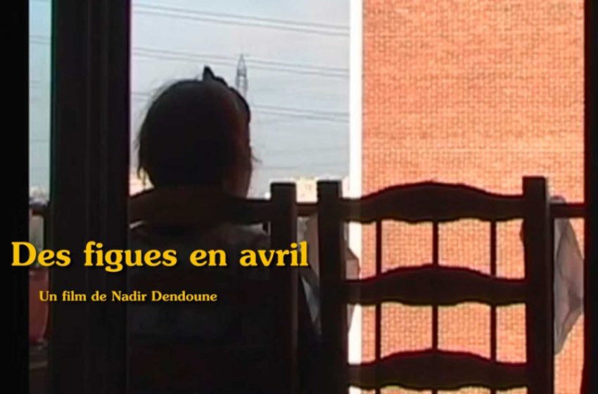 Portrait d’une funambule entre deux mondes