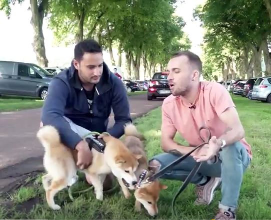  JE TESTE LE PHYSIQUE DE MON CHIEN