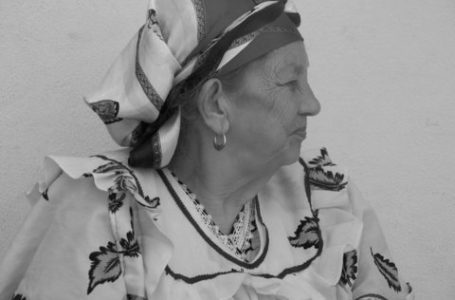 Exposition « Chibanias