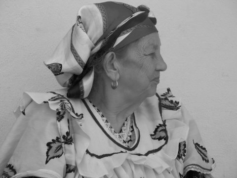 Exposition « Chibanias, nos mères-courage » : « A leur manière, sans même le savoir, féminines et féministes »