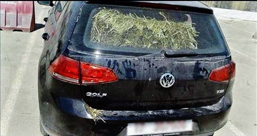 Bientôt des puces électroniques dans les véhicules administratifs