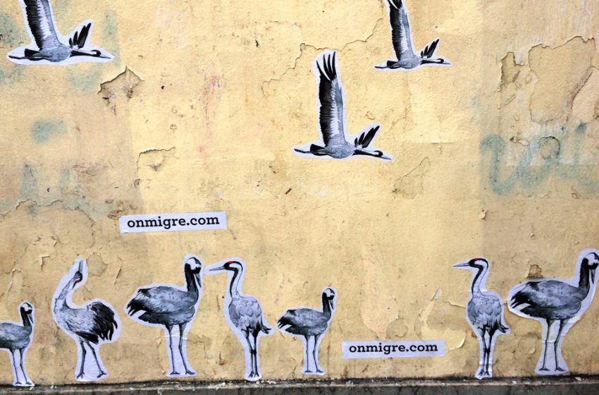 onmigre.com, du street art et un site pour aider les migrants