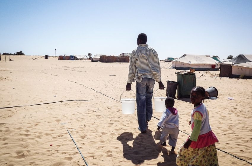 Évacuation d’un camp de demandeurs d’asile : inquiétudes sur le sort des personnes déplacées