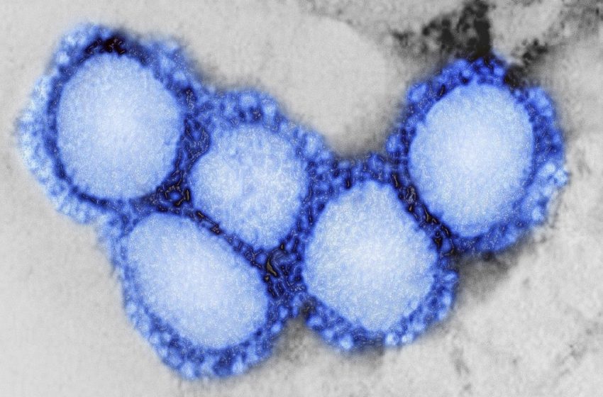 Coronavirus : Aucun cas enregistré au Maroc