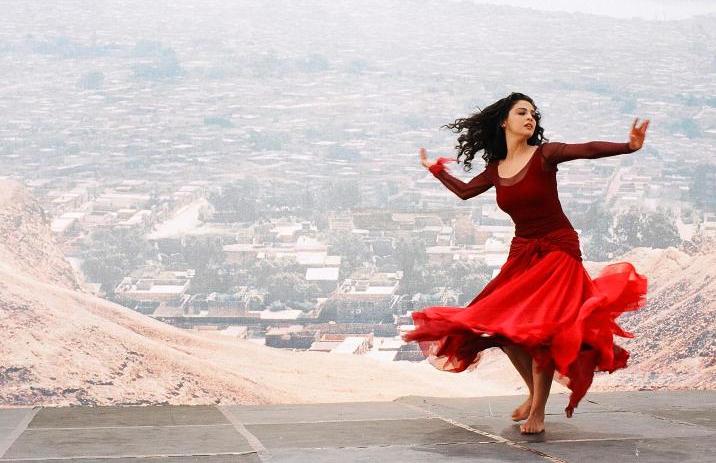 13e Panorama des cinémas du Maghreb et du Moyen-Orient