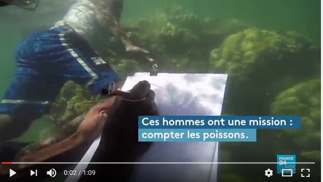 Kenya, d’anciens pêcheurs comptent les poissons pour tenter de les protéger