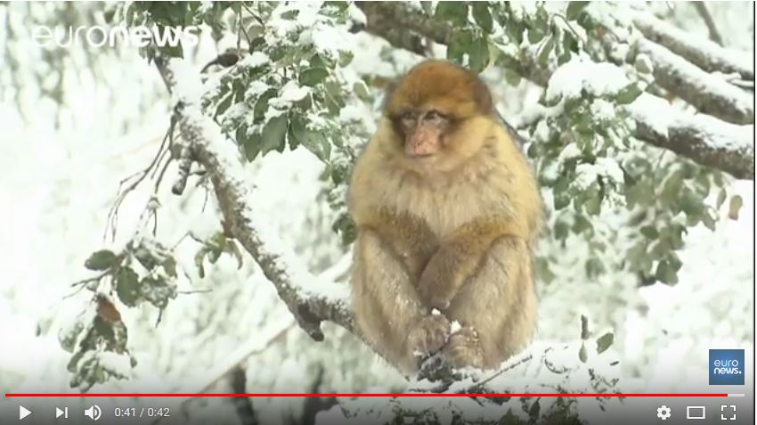 L’Atlas marocain met son manteau blanc