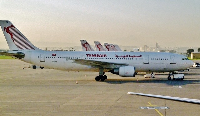 Deux Airbus A340 pour assurer le transport des pèlerins