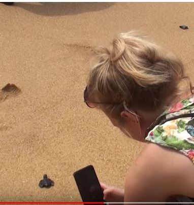 Bénin : il faut sauver les tortues