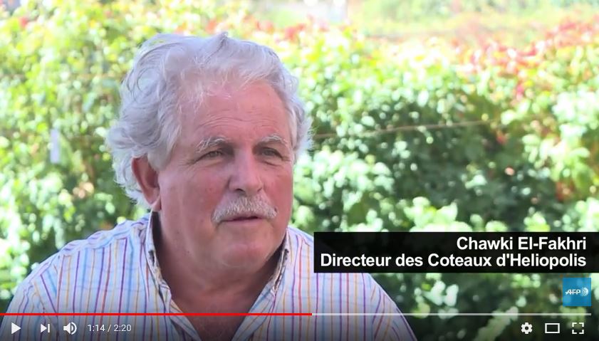 Au Liban, quand la vigne supplante le cannabis