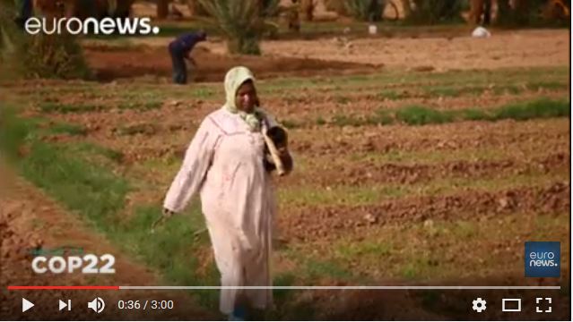  Le Maroc veut donner la priorité à l&rsquo;agriculture africaine