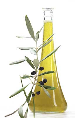 La Picholine de Safi, le fruit d’un grand cru