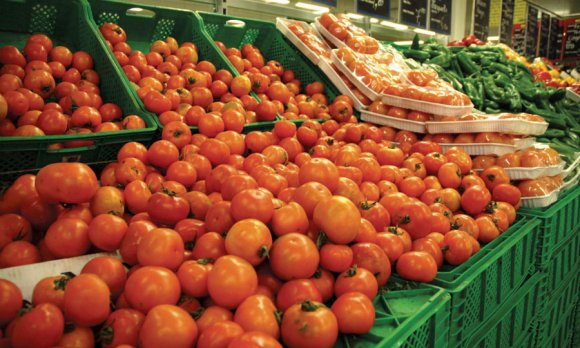 Maroc – UE. Feu vert pour l’accord agricole