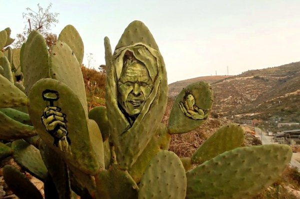 Ahmed Yacine et ses cactus