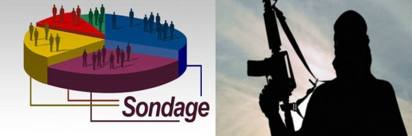 Sondage Sigma : « Réprimez-nous ! »