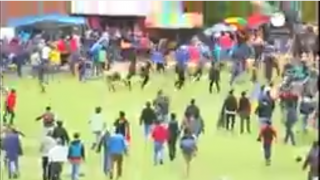  Pérou : un lâcher de taureaux fait 8 blessés