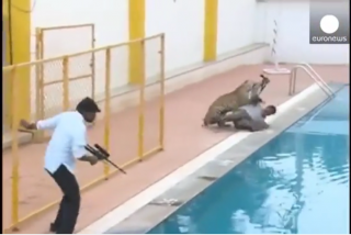  Inde : Attaque de léopard dans une école de Bangalore