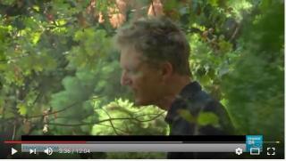  France : le retour au vert des Français ?