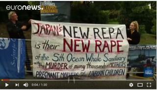  Slovénie : Partisans et adversaires de la chasse à la baleine s&rsquo;affrontent