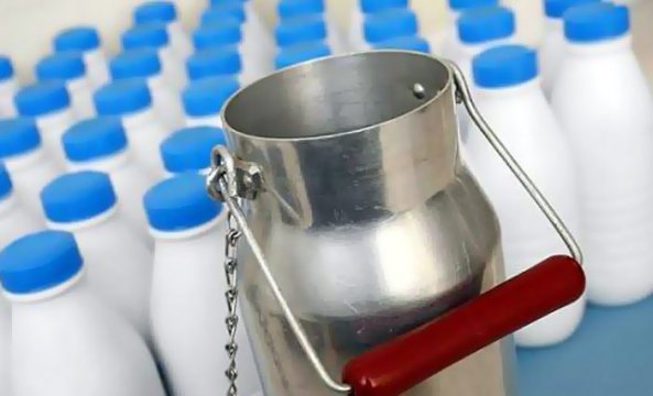 Pourquoi la pénurie en lait s’installe en Tunisie ?