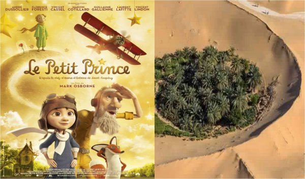  France. Projection gratuite du Petit Prince (en avant-première) et de l’Algérie vue du ciel le 22 juin