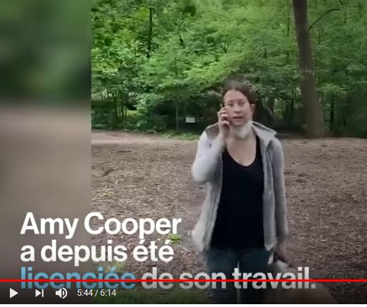 Ce que révèle la vidéo de « l’accusatrice » de Central Park