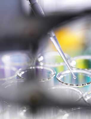 Le coronavirus, les Arabes et l’innovation