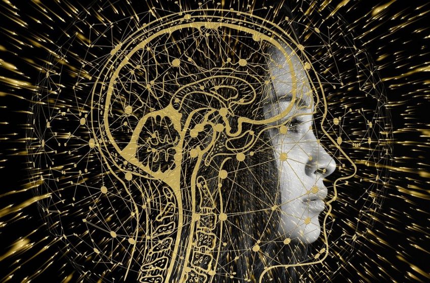 L’intelligence artificielle vue par l’historien Yuval Noah Harari