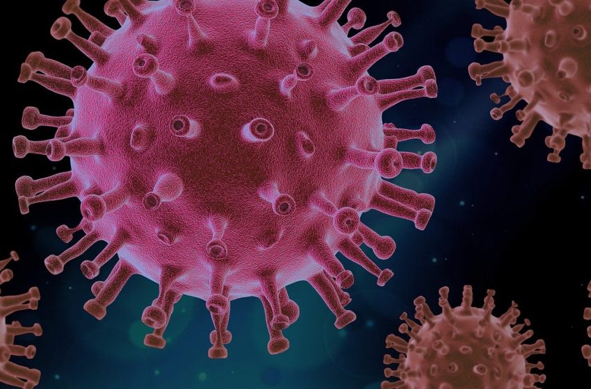 Coronavirus. Une nouvelle souche circule au Royaume-Uni