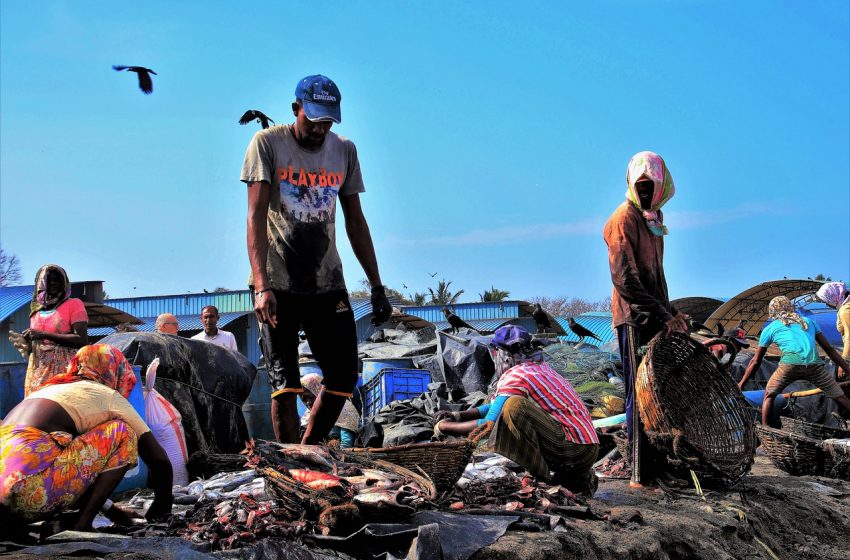 La pandémie réduirait de 10 ans le développement des pays pauvres