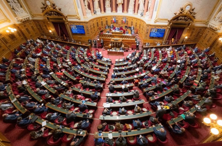 Loi Sécurité globale : le Conseil constitutionnel saisi ?