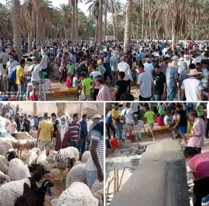 Tunisie. L'Aïd alAdha en temps d’épidémie un enjeu politicosanitaire