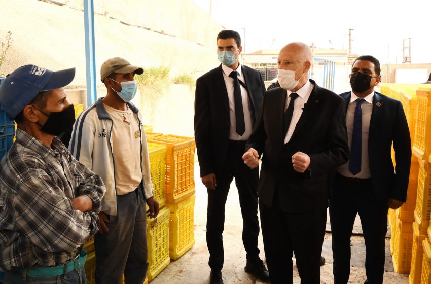 Tunisie. Carthage veut la guerre totale contre la corruption