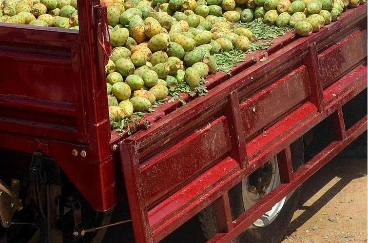 Maroc – Société. Au pays des hurlements