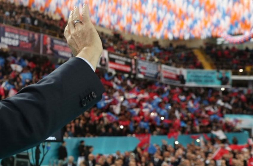 Point de vue. Le Professionnel politique dans la théorie politique