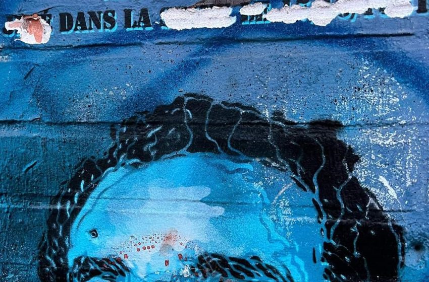 Une œuvre de l’artiste C215 en hommage aux victimes du 17 octobre 1961 vandalisée