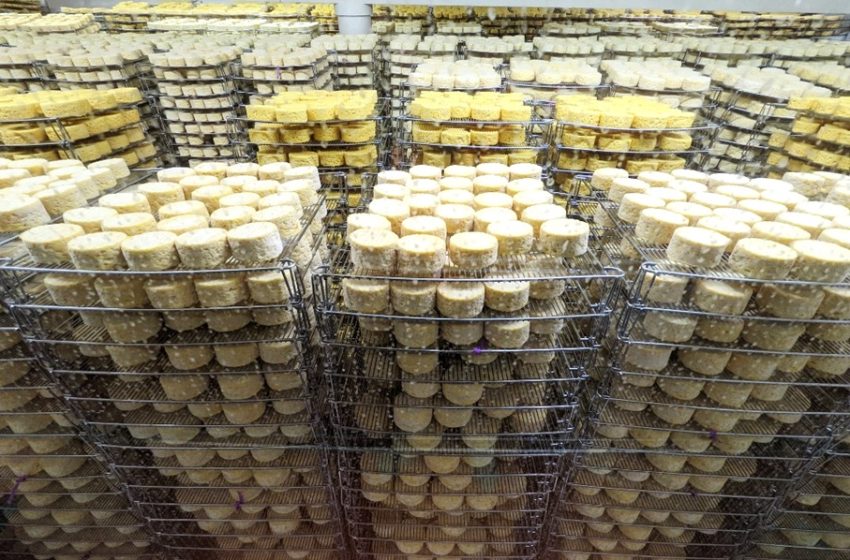 Des fromages potentiellement contaminés à la listeria rappelés