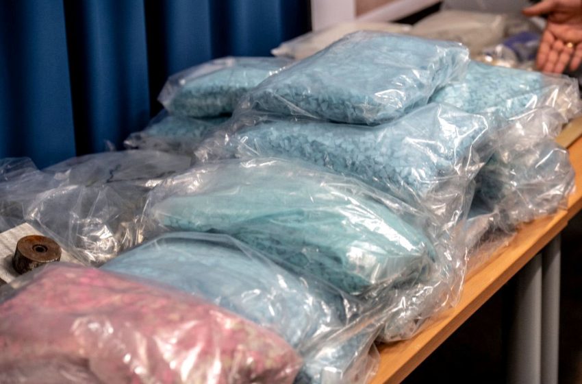 Maroc. Un réseau criminel de trafic de psychotropes démantelé à Oujda