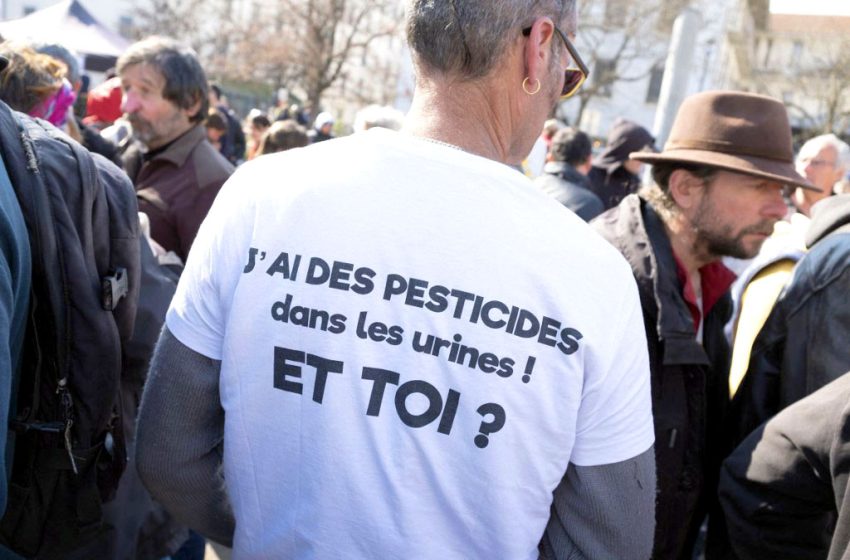 Les pesticides, fléau pour l’environnement