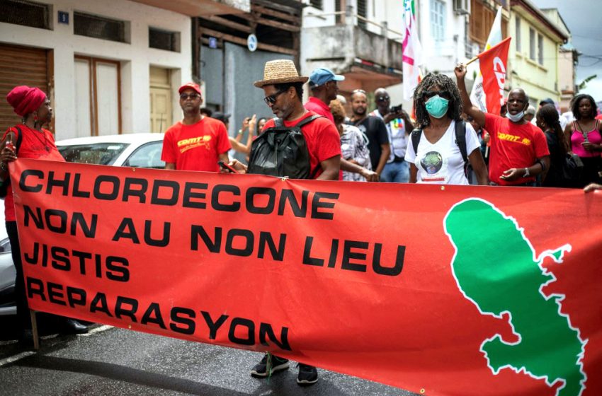 Scandale du chlordécone : la justice reconnaît la faute de l’Etat