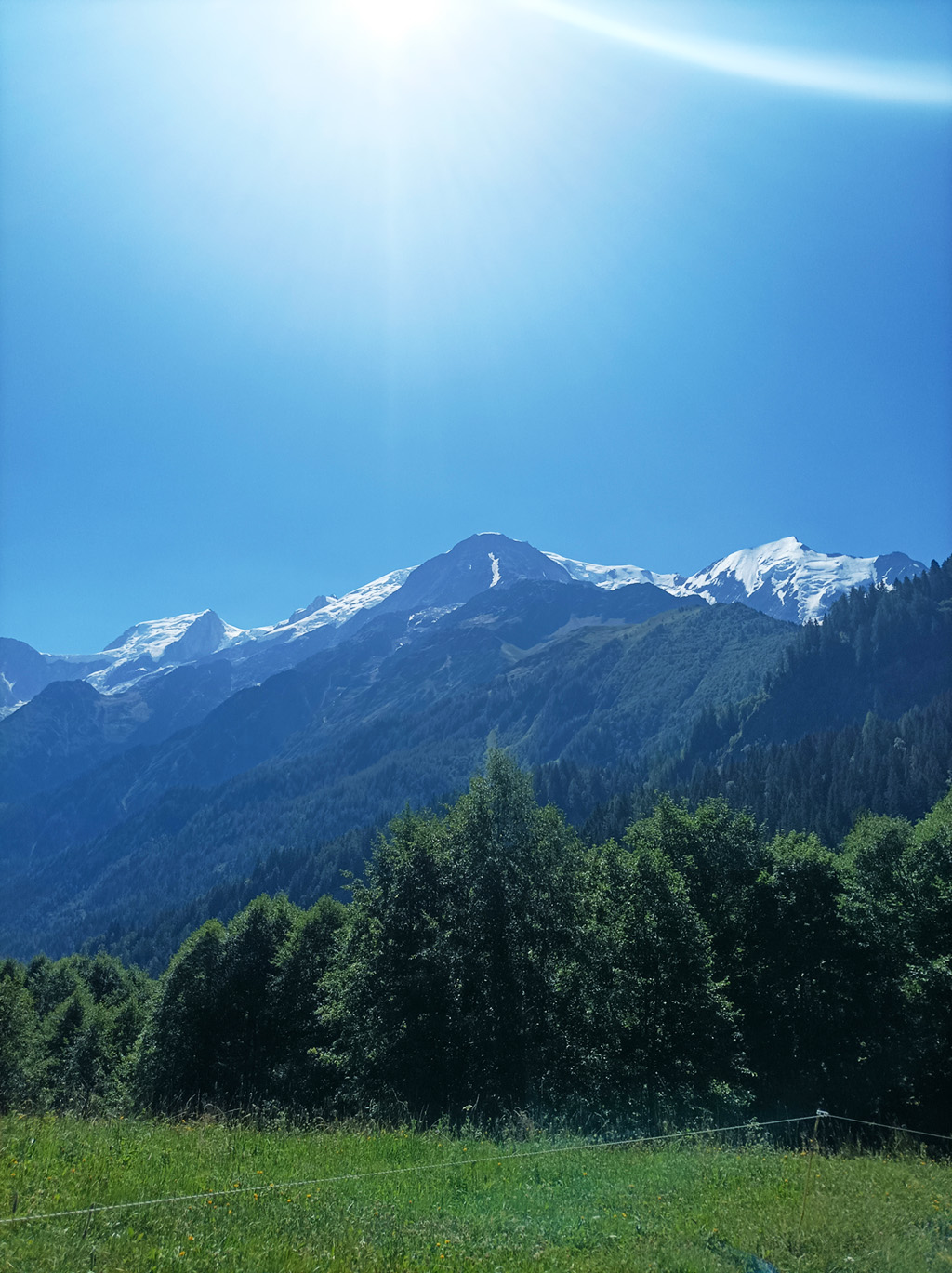 Des arbres au premier plan avec des montagnes en arrière-plan lors d'une randonnée dans les Alpes avec des jeunes suivis par la PJJ.