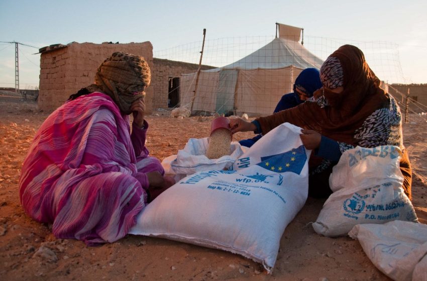 Algérie. L’absence d’enregistrement des réfugiés favorise le détournement de l’aide humanitaire