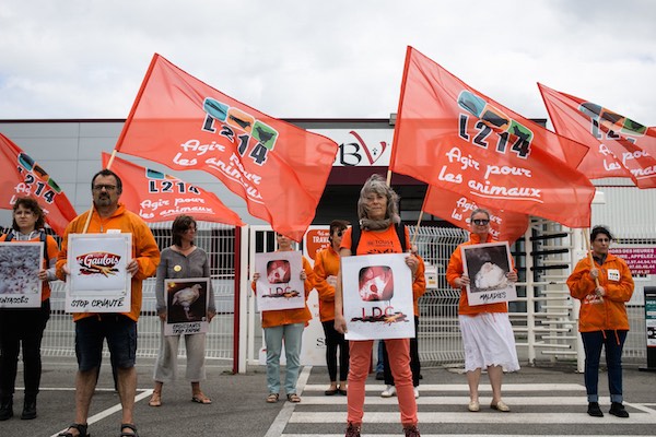 Lanceurs d’alerte : L’amendement liberticide contre L214