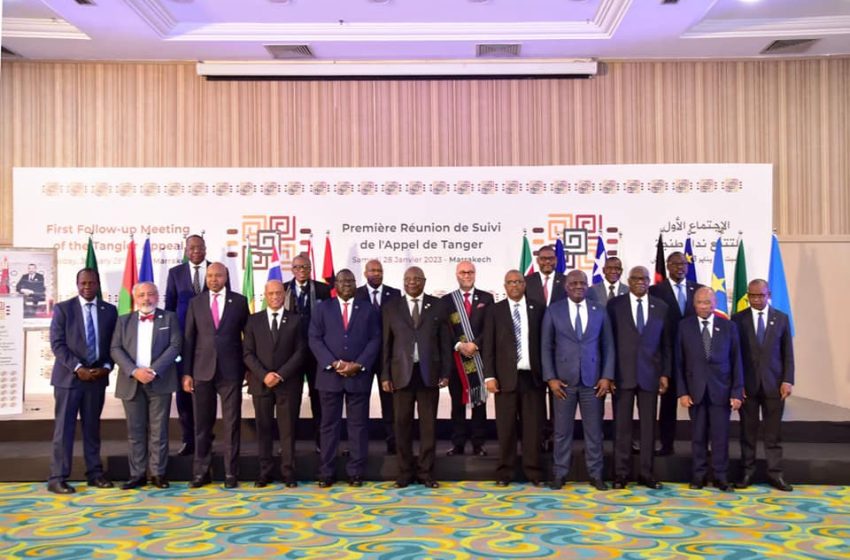 Afrique. Un livre blanc pour l’expulsion de la pseudo RASD de l’Union africaine