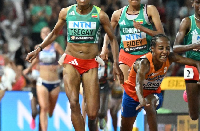 Chroniques à Budapest : Le 10000 m sur piste, une course à part…