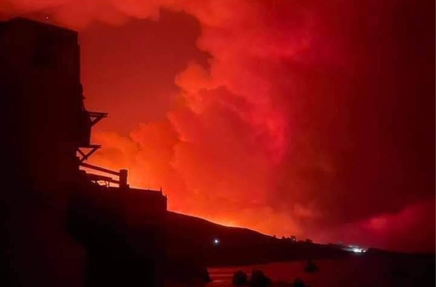Incendies en Kabylie : une cagnotte en ligne pour aider les sinistrés