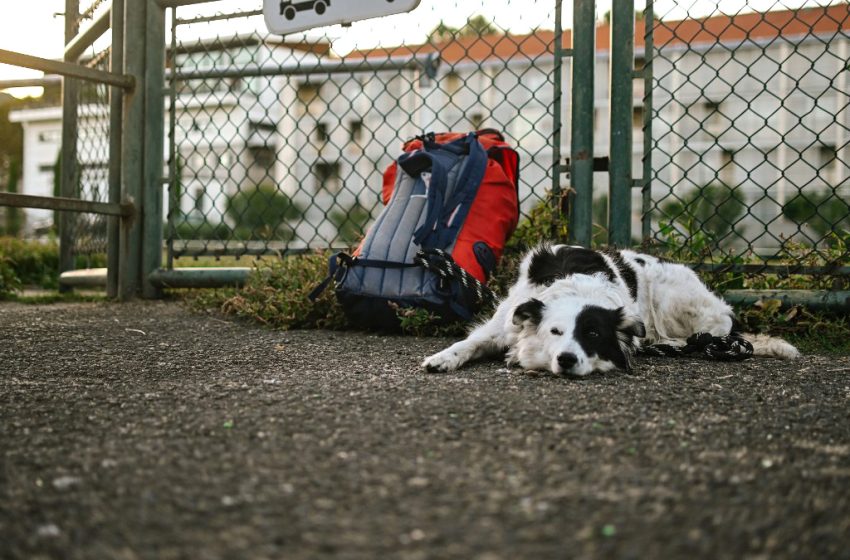 Au moins 624 SDF sont décédés en 2022